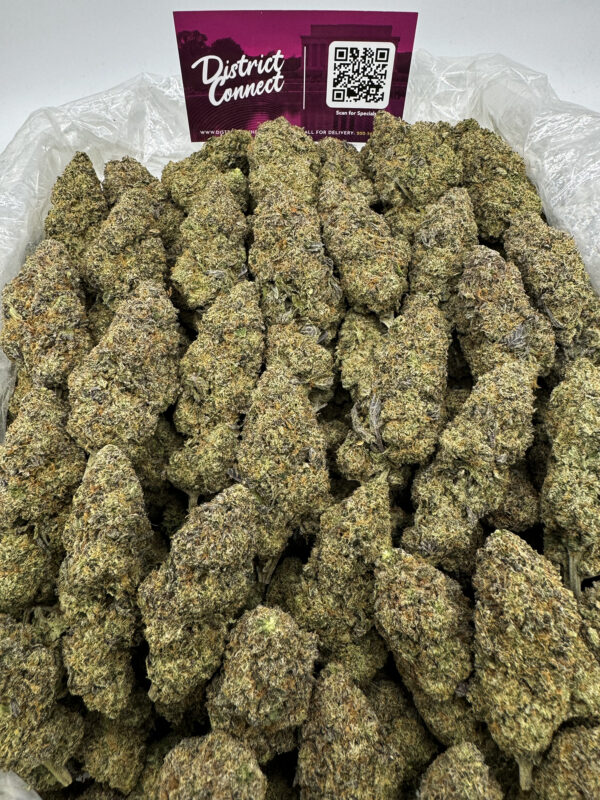 gelato 33 Strain District Connect washington dc weed delivery
