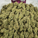 Pink Candy Strain District connect washington dc weed delivery