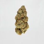 Purple Punch Strain District Connect Virginia weed delivery