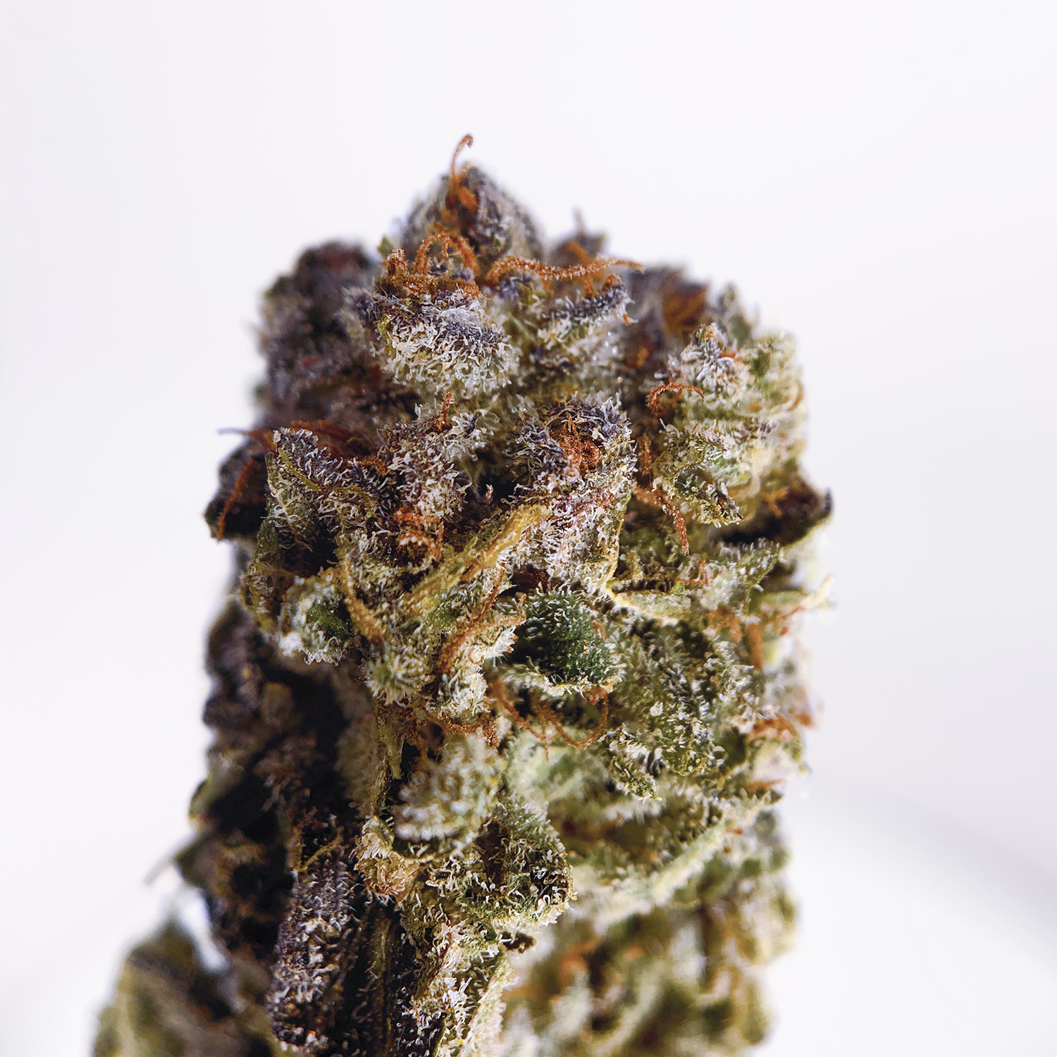 Zookies Designer District Connect Washington DC i71 Weed Delivery