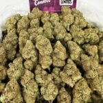 Purple Punch Strain District Connect Richmond weed delivery