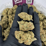 Purple Punch Strain District Connect DMV weed delivery