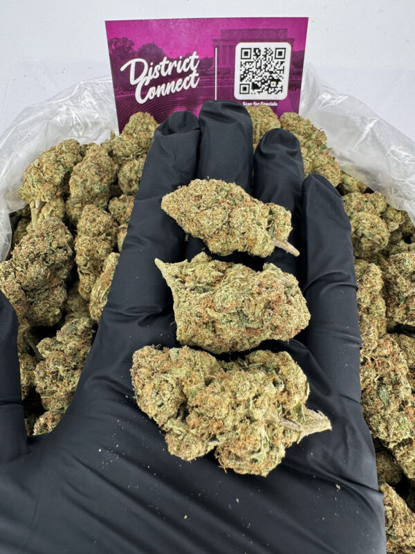 Purple Punch Strain District Connect DMV weed delivery