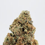 Purple Punch Strain District Connect Washington DC weed delivery