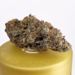 Wedding Cake Strain 22 Washington DC