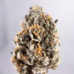 Wedding Cake Strain 22 Washington DC
