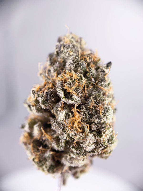 Wedding Cake Strain 22 Washington DC