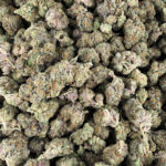 Wedding Cake Strain 22 Washington DC