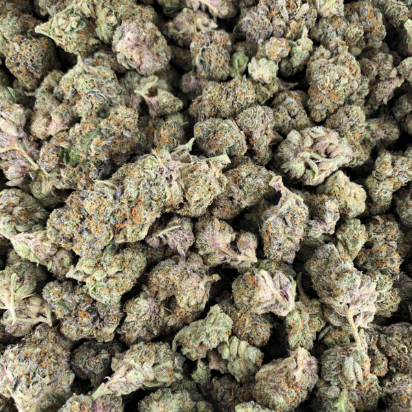 Wedding Cake Strain 22 Washington DC