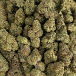 Thin Mint Strain District Connect Washington DC