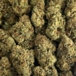Strawnana Strain District Connect Washington DC