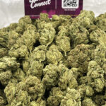Gorilla Glue Strain District Connect Washington DC weed delivery
