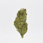 Gorilla Glue Strain District Connect Washington DC weed delivery