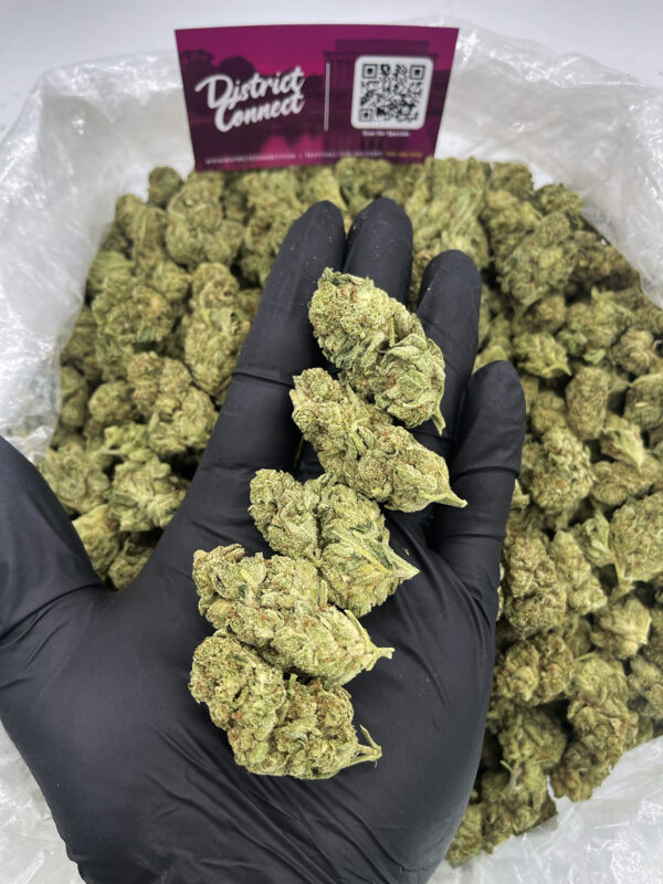 Gorilla Glue Strain District Connect Washington DC weed delivery