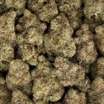 Mac 10 Strain District Connect Washington DC