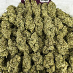 Gorilla Glue Strain District Connect maryland weed delivery