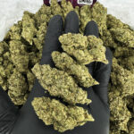Gorilla Glue Strain District Connect rva weed delivery