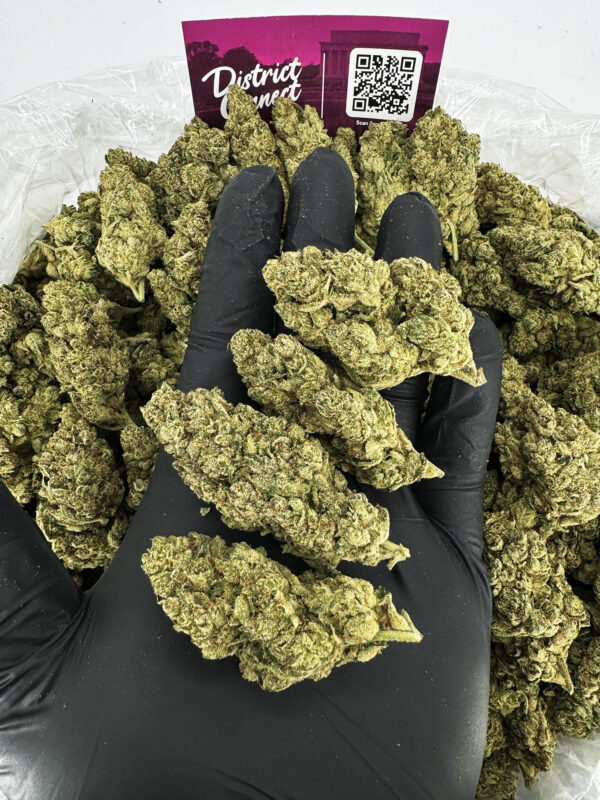 Gorilla Glue Strain District Connect rva weed delivery