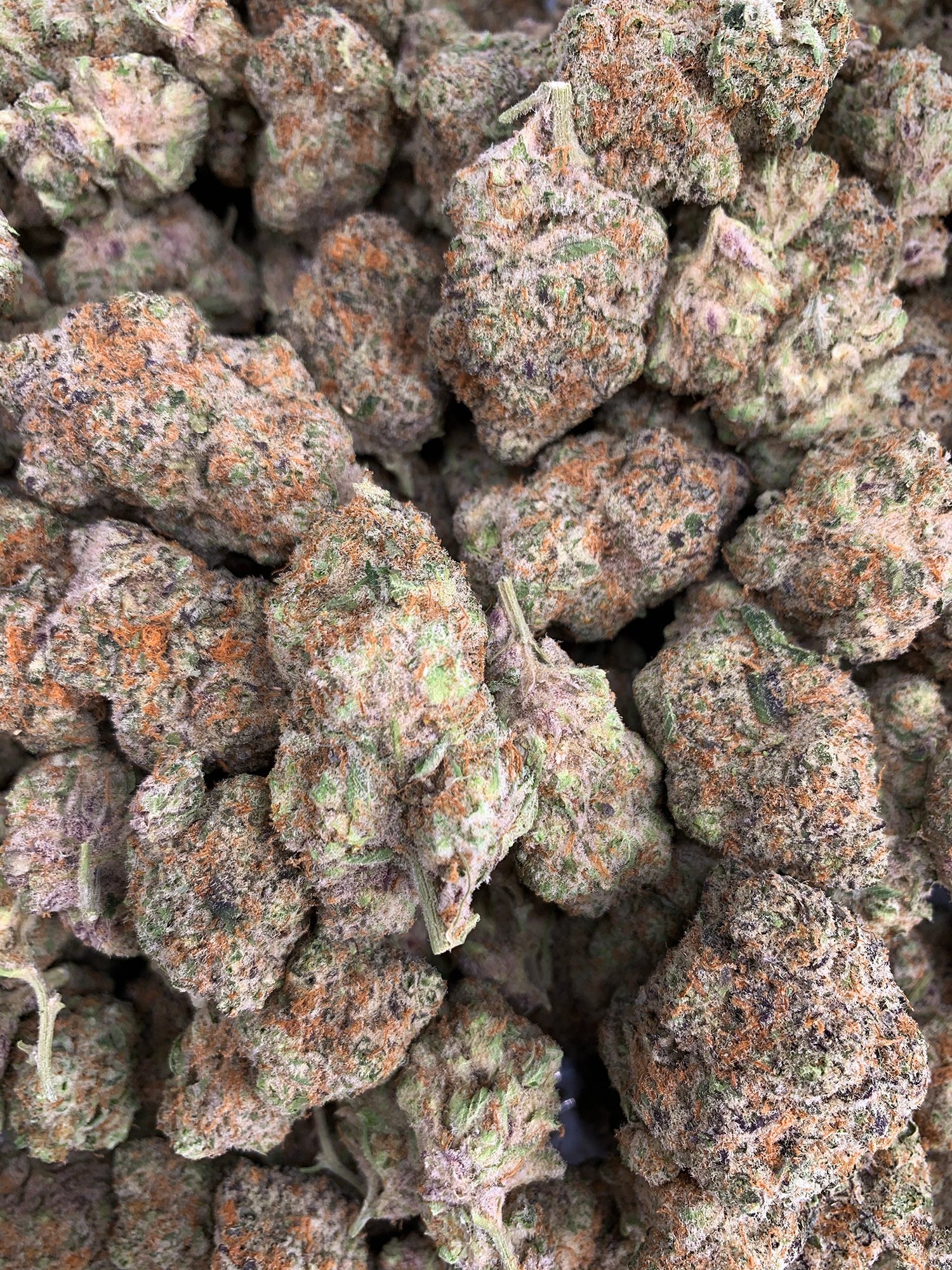 Frosted Cakes Exclusive District Connect Washington DC i71 Weed