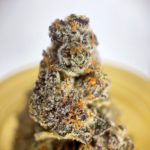 French Toast Strain District Connect Washington DC