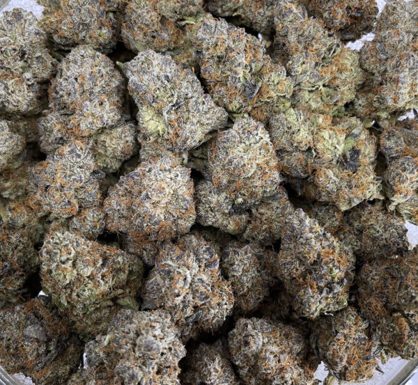 Italian Ice Strain District Connect Washington DC