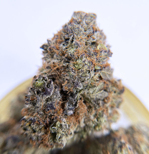 Italian Ice Strain District Connect Washington DC