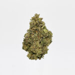 Girl Scout Cookies GSC Strain District Connect Washington DC weed delivery