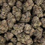 Cuvee Cookies Strain District Connect Washington DC