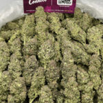 Blue Dream Strain District Connect Washington DC weed delivery