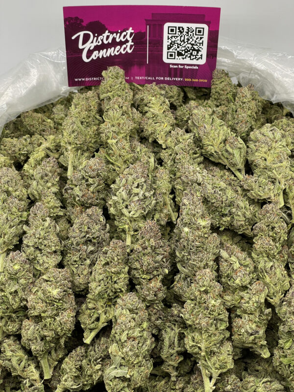 Blue Dream Strain District Connect Washington DC weed delivery