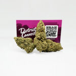 Blue Dream Strain District Connect dmv weed delivery