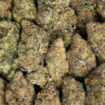 Grape Soda Strain District Connect Washington DC