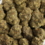 White Tahoe Cookies Strain District Connect Washington DC