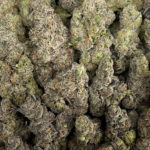 Blue Hawaiian Strain District Connect Washington DC
