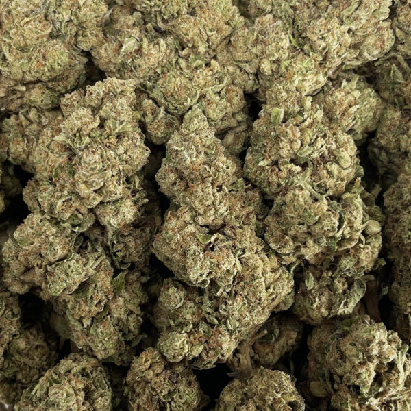 Funky Malawi Strain District Connect Washington DC