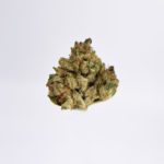 Funky Malawi Strain District Connect Washington DC