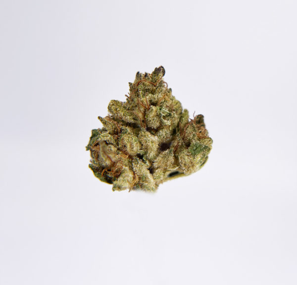 Funky Malawi Strain District Connect Washington DC