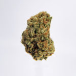 g13 strain District Connect Washington DC