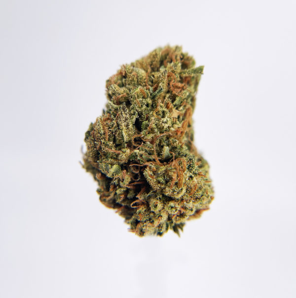 g13 strain District Connect Washington DC