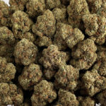 Yoda OG Strain District Connect Washington DC