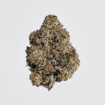 Donkey Butter Strain District Connect Washington DC
