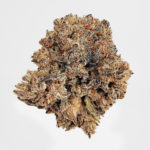 Black Truffle Strain District Connect Washington DC