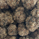 Black Truffle Strain District Connect Washington DC