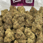 Gelonade Strain District Connect Washington DC weed delivery