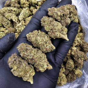 Gelonade hybrid cannabis strain, 22–26% THC, featuring frosty green buds for District Connect customers in Washington DC, Virginia, Maryland, and Richmond VA.