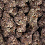 Tropicana Cherry Strain District Connect Washington DC weed delivery