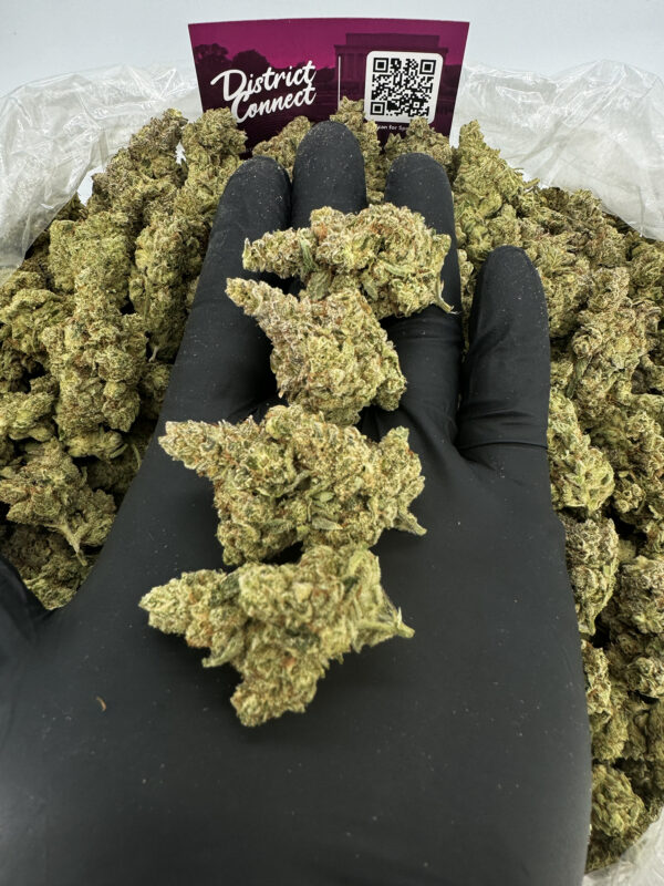 Gorilla glue 4 gg4 Strain District Connect washington dc weed delivery