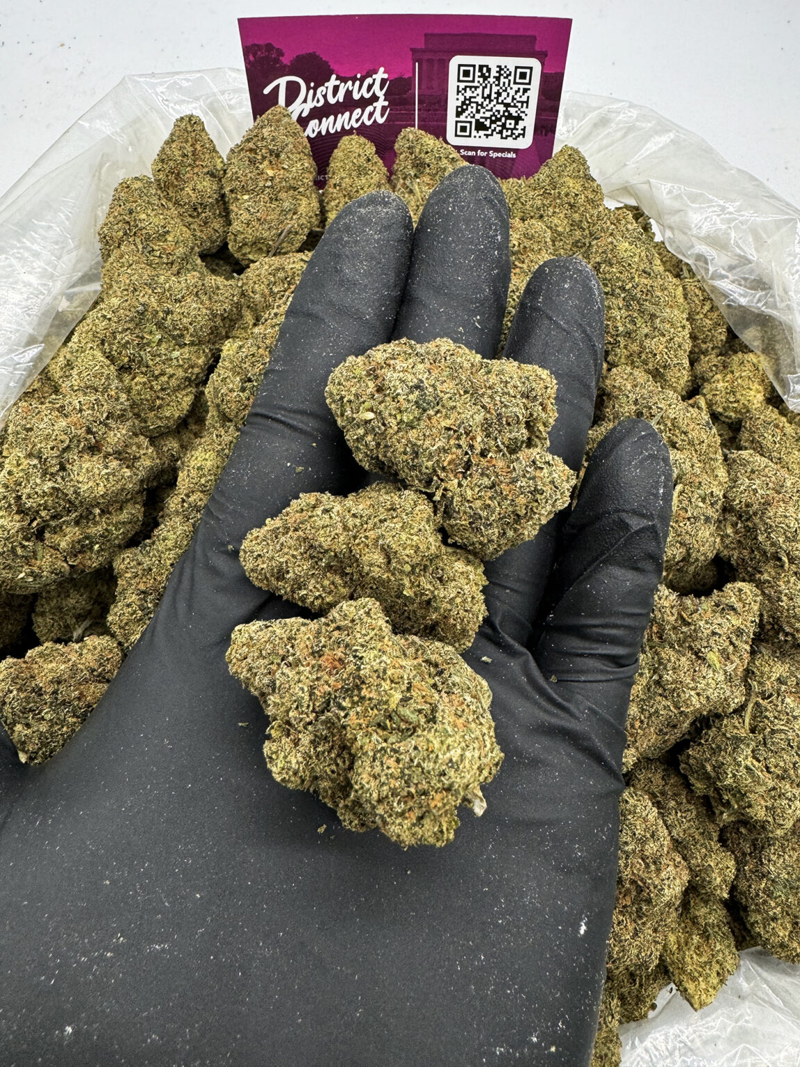 Pink Runtz Top Shelf District Connect Washington DC i71 Weed Delivery