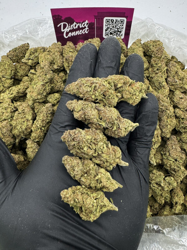 Gushers Strain District Connect virginia weed delivery