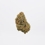 Gushers Strain District Connect Washington DC weed delivery